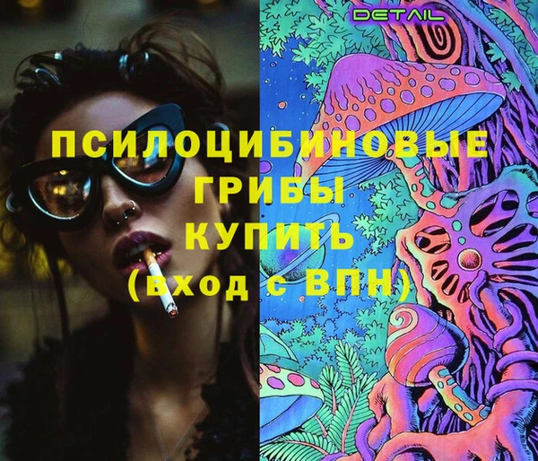 гидропоника Лагань