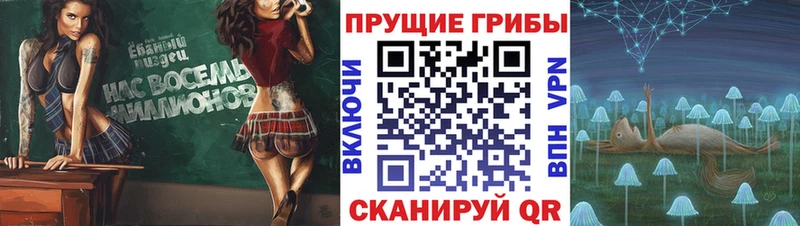 Псилоцибиновые грибы мицелий  Купить где  Арамиль 